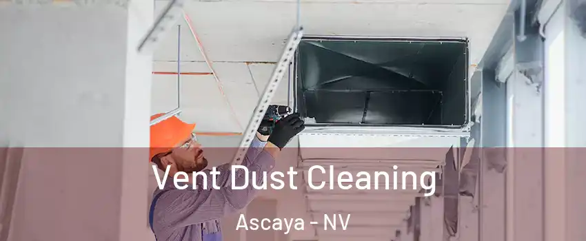 Vent Dust Cleaning Ascaya - NV