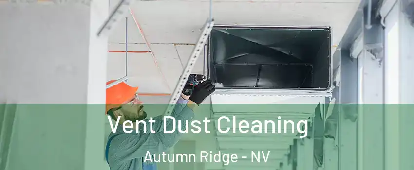 Vent Dust Cleaning Autumn Ridge - NV