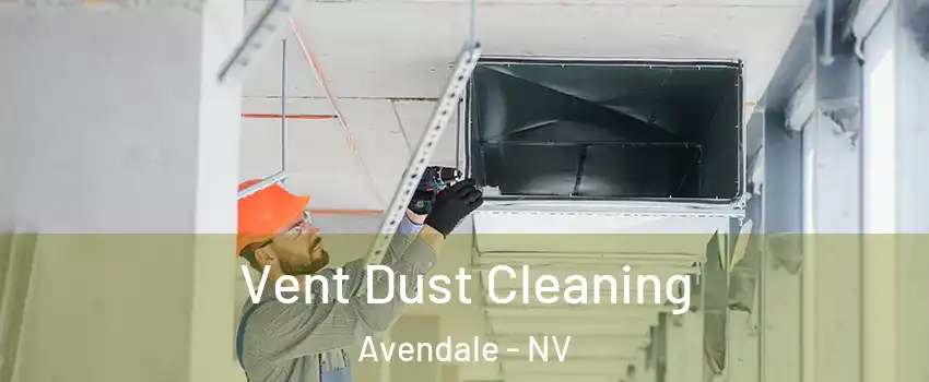 Vent Dust Cleaning Avendale - NV