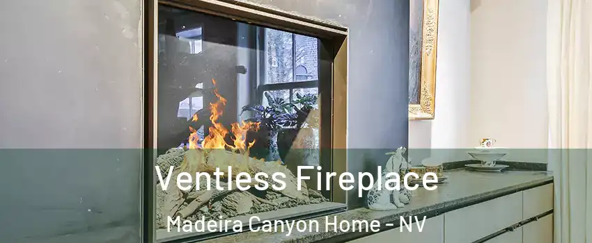 Ventless Fireplace Madeira Canyon Home - NV