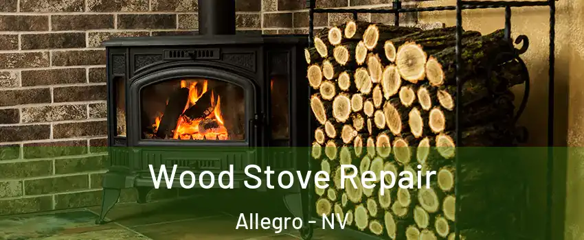 Wood Stove Repair Allegro - NV