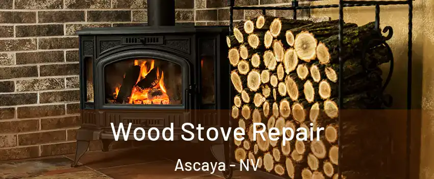 Wood Stove Repair Ascaya - NV