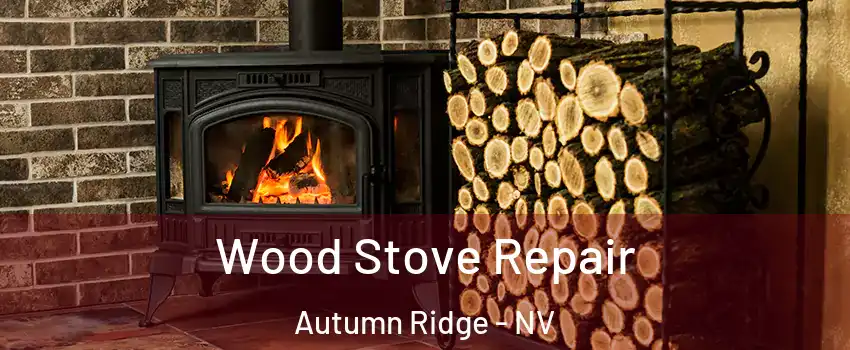 Wood Stove Repair Autumn Ridge - NV