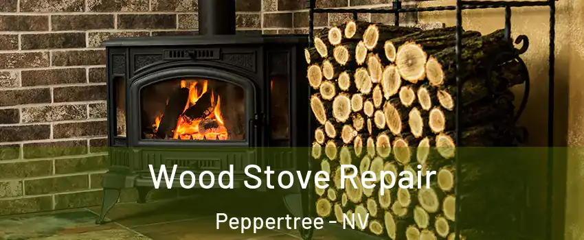 Wood Stove Repair Peppertree - NV